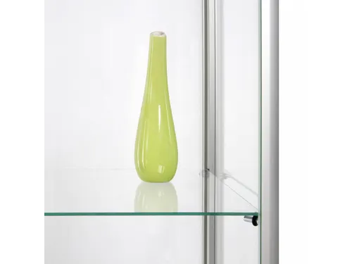 Glazen Vitrinekast Dubbele Deur 80x40x200cm