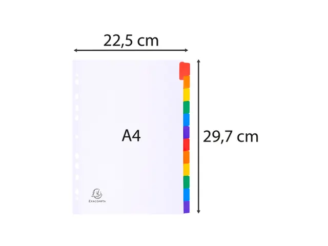 Tabblad Karton 160 Gram A4 index 12 tabs wit