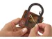 Puzzle cérébral Einstein Lock Puzzle