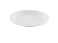 Bord IEZZY Ø170mm suikerriet 50 stuks wit