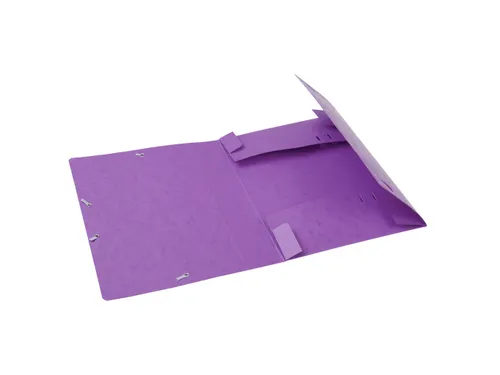 CARTOBOX glanskarton rug 60mm paars