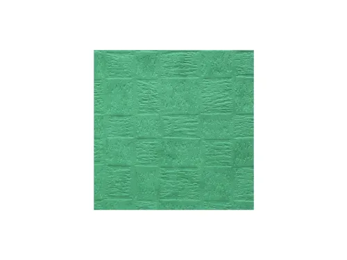 Elastomap Nature Future gekorreld glanskarton A4 600 g/m² groen