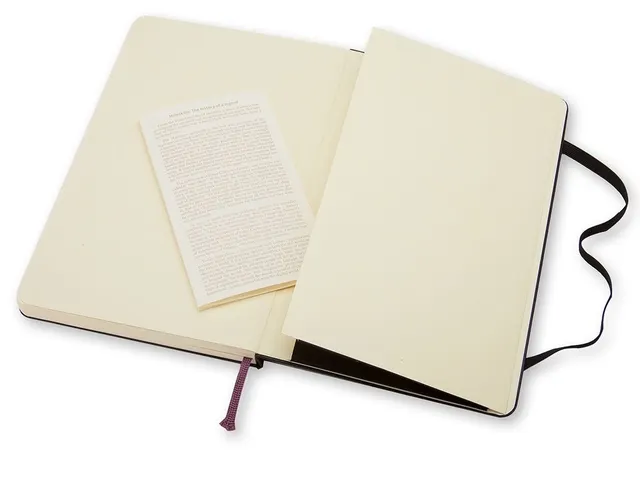 Notitieboek Moleskine large 130x210mm blanco hard cover zwart