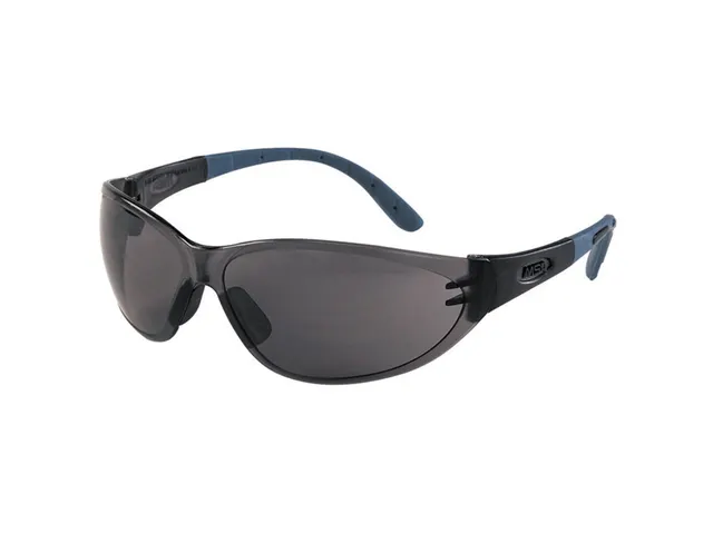 MSA Perspecta 9000 veiligheidsbril