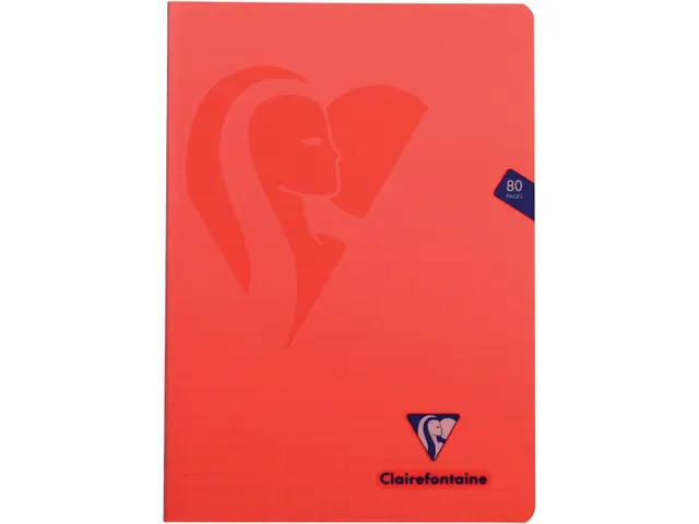 Schrift Mimesys Pp A4 80blz Geruit 4x8mm Assorti