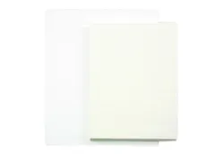 Tekenpapier Papyrus 65x100cm 160gr 125 vel