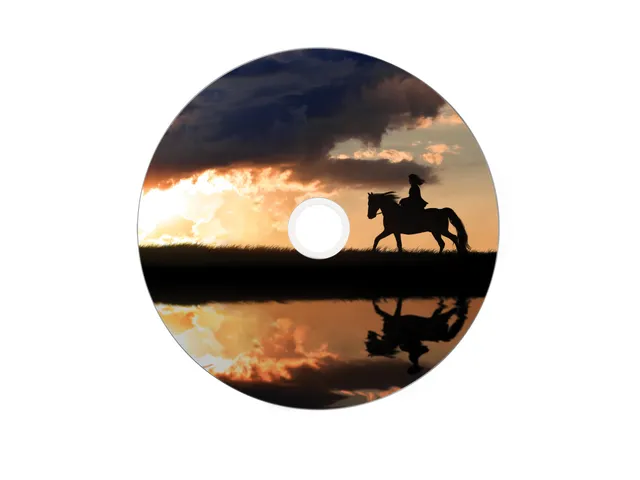 DVD+R Double Layer Wide Inkjet Printable8.5GB 8x 50 Stuks