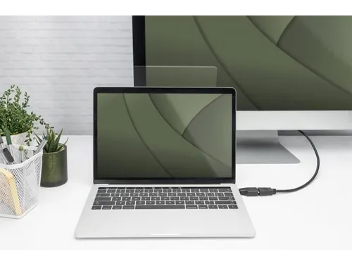 4K USB-adapter USB-C/mannelijk naar HDMI A/vrouwelijk