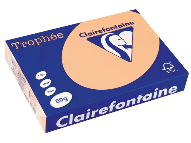 Trophée Pastel gekleurd papier A4 80 gram 500vel Zalm