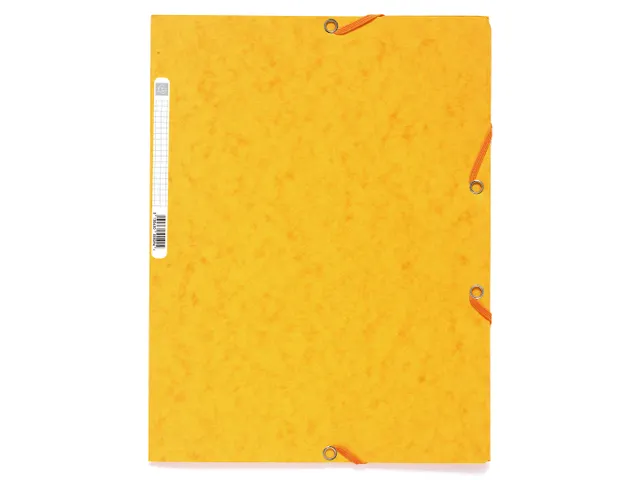 Elastomap 3 kleppen glanskarton 400g/m2 A4-Assorti