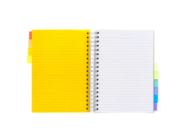 Projectboek Pukka White B5 lijn 10-tabs 200vel/400 pagina's 80 gram