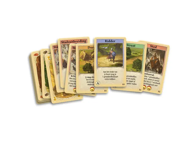 +Jeu de cartes Kolonisten van Catan 8+
