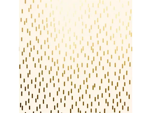 Apparaatrol Special Wrap 100mx30cm crème met goud