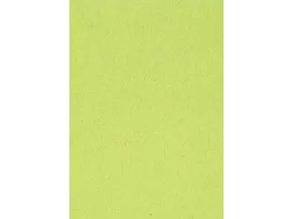 Gekleurd Tekenpapier Lichtgroen A4 120g - 1