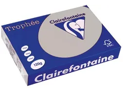 Trophée Pastel gekleurd papier A4 120 gram 250vel Lichtgrijs