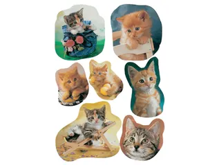 Sticker Etiket Herma 5747 Kittens 21 stuks - 1