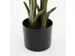 Kunstplant Mica Bananen boom in plastic pot 180x30cm