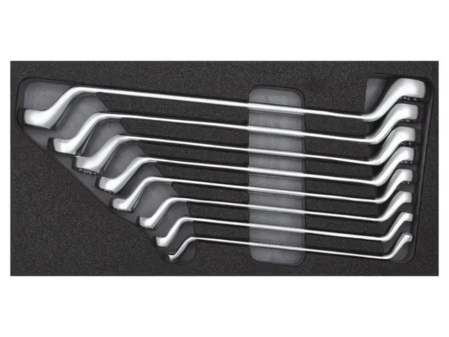 R22150000 Dubbele ringsleutelset 2/6 CT-module 8-delig