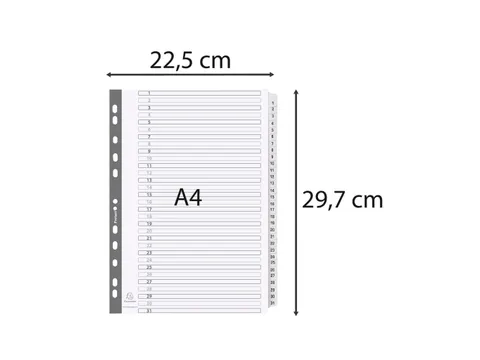 Tabbladen karton 160g A4 1-31 wit