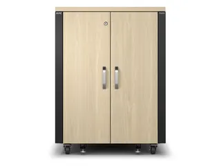 APC NetShelter CX AR4017IA - 17U, Geluiddempend en geventileerd 19 inc - 1