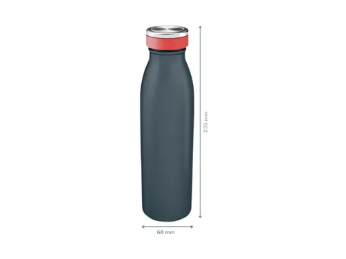 Drinkfles Leitz Cosy geïsoleerd grijs 500ml