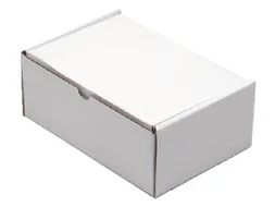 Postpakketdoos CleverPack golfkarton 220x160x90mm wit 25stuks