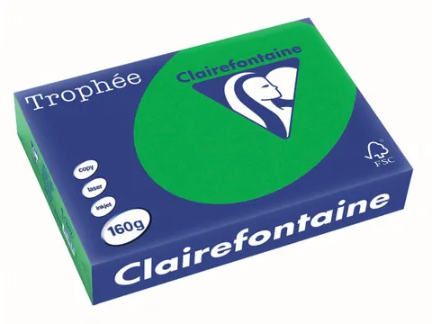 Trophée Intens gekleurd papier A4 160 gram 250vel Biljartgroen