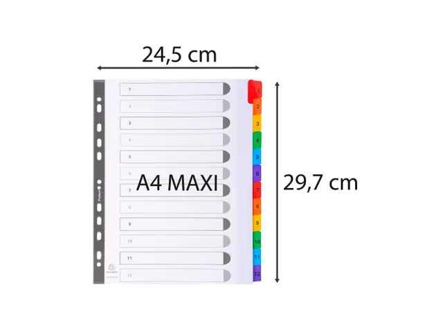 Tabblad Karton 160 Gram A4 + index 12 tabs wit