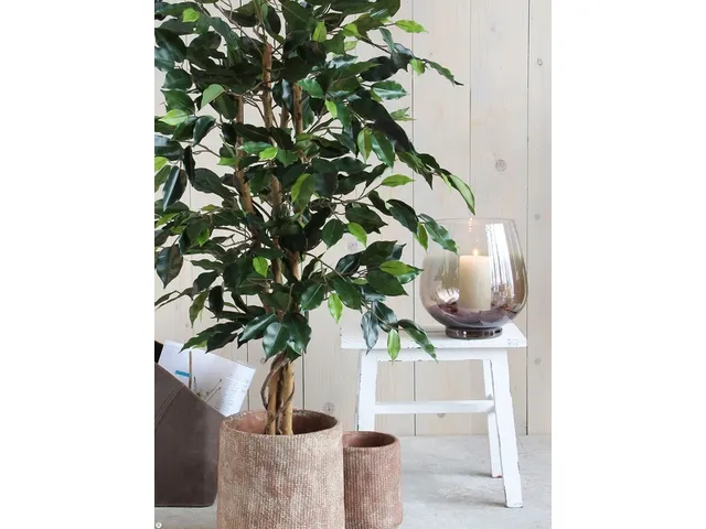 Kunstplant Mica Ficus groen in pot 85x150cm