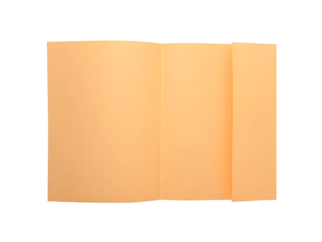 Dossiermap Exacompta Super A4 160gr 1 klep assorti 100 Stuks