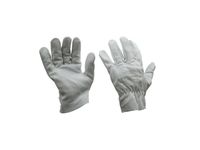 Handschoenen Dextrium Pro Pp Rundnerfleder Maat 8
