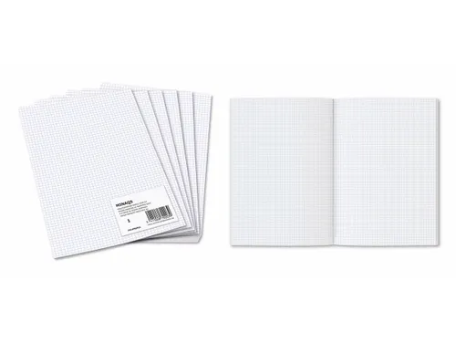 Geruit Ministerpapier A4 5x5mm 80 Gram 960 Bladzijden