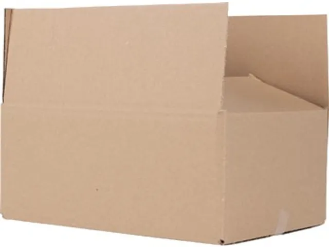 Verzenddoos, bruin, ft 30,5 x 22 x 12,5 cm