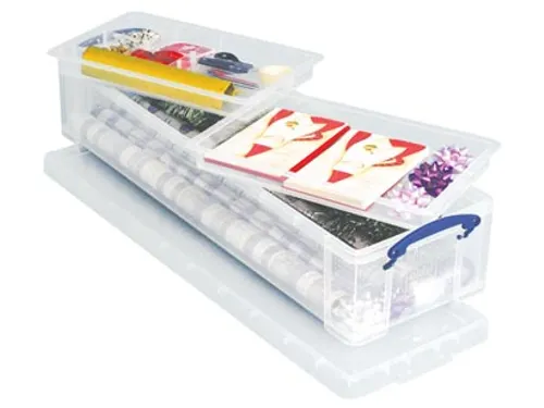 Opbergdoos 22 Liter 2 Divider Transparant
