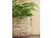Panier plante Mica Jonc de mer Avalon rond marron clair 26x26cm