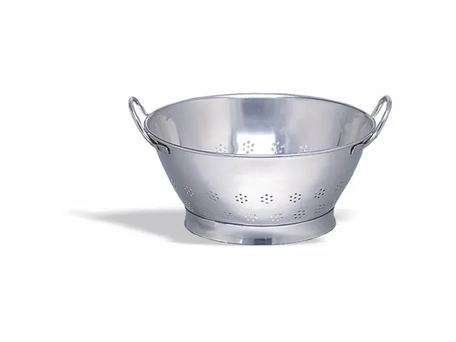 Pujadas 308035 Vergiet 35cm RVS 18/10