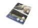 Ringbandinterieur Kangaro A5 ruit 10mm 17-gaats 60 grams 100 blad