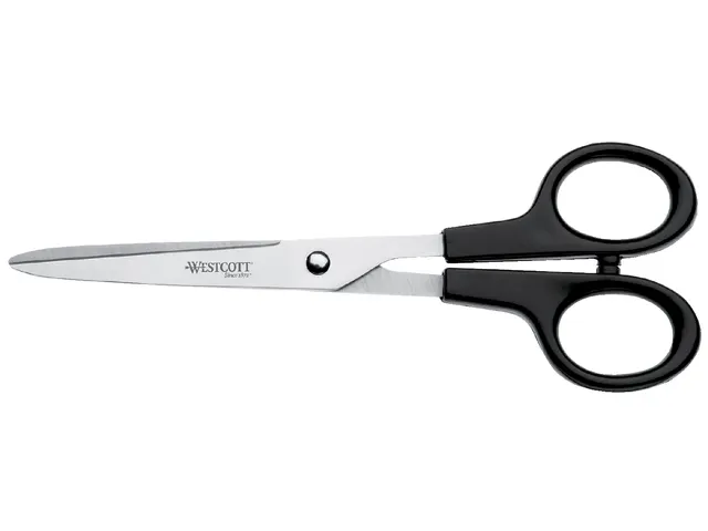 Kantoorschaar Westcott 171mm met kunststof grip rvs