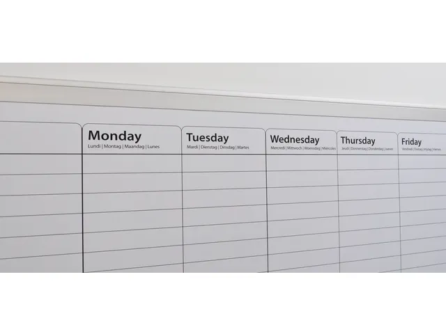DESQ Whiteboard Weekplanner 60x90cm