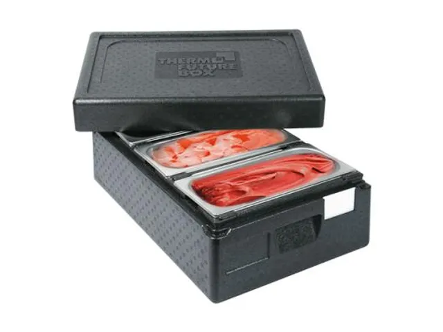 Thermobox Eco ijs-transport voor 3 stuks ijs uitschepbak 36x16,5cm