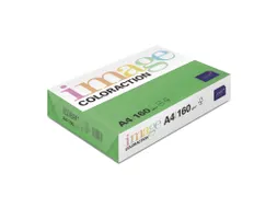 Kopieerpapier Dublin Donkergroen A4 160 Gram 250 Vel