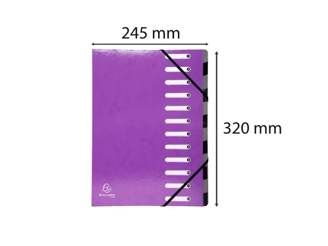 Trieur Harmonika Iderama 12 compartiments - Violet