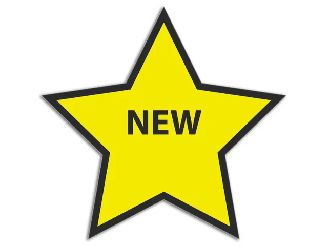 Magneetvel Symbool Ster 63x60mm geel/zwart