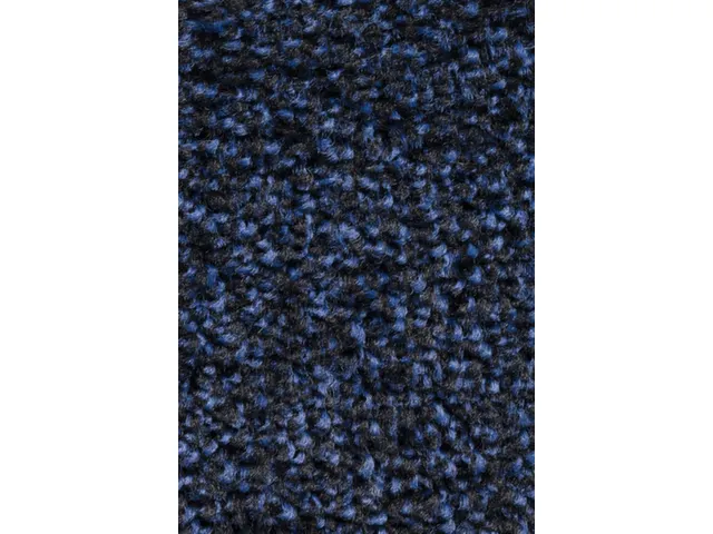 Schoonloopmat Binnen Klasse Bfl/s1 High-Twist-Nylon 85x150 Blauw