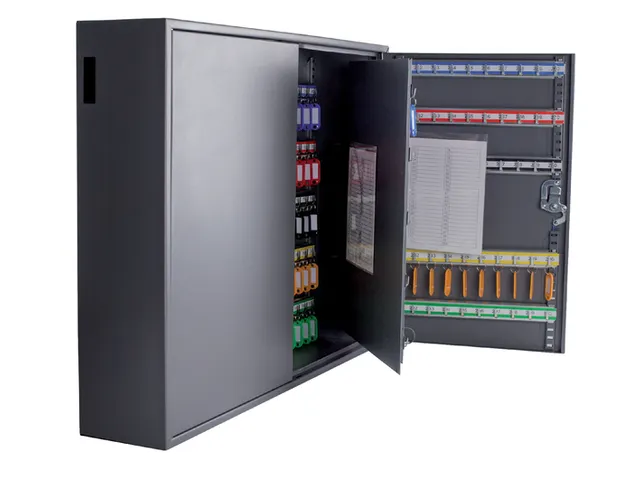 Pavo Sleutelkast XL tweedeurs 300 haken 720x540x140mm cilinderslot