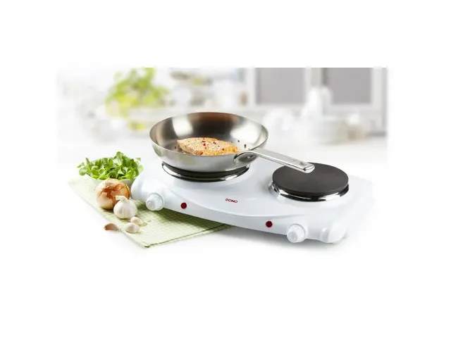 Elektrische Kookplaat 2 Pits 6 Standen 1000-1500W Wit