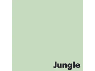 Kopieerpapier Jungle Lichtgroen A4 80 Gram 500 Vel - 2