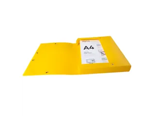 Klasseerdoos FOREVER PP rug 40mm ass. - 10