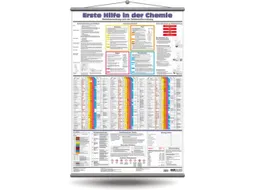 wandbord,EHBO in de chemie,papier,voor ophangen,HxB 1000x700mm