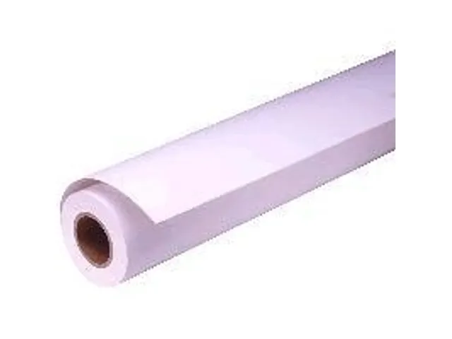 Epson Proofing Paper White Semi Mat 44 Inchx30.5 m 250 Gram